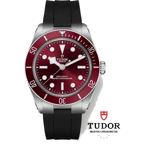 Tudor Black Bay 58 M7939A1A0RU-0003 kol saati