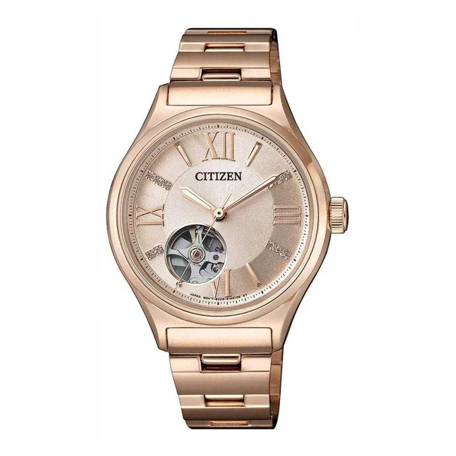 Citizen Citizen PC1003-58X kol saati