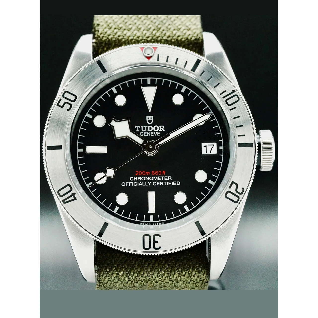 Tudor Black Bay Steel 210000049964 41 mm kol saati
