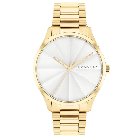 Calvin Klein CK Burst CK25200232 kol saati