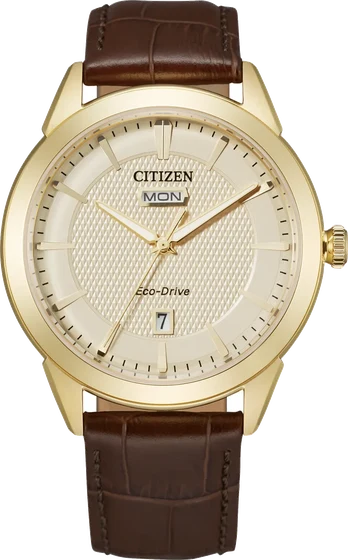 Citizen Rolan AW0092-07Q kol saati