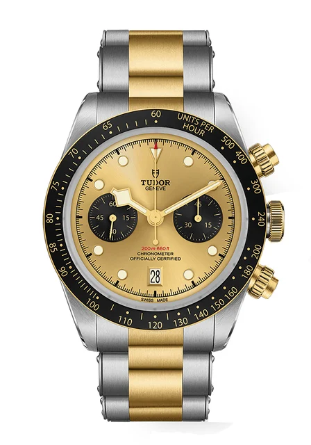 Tudor Black Bay 300585 kol saati