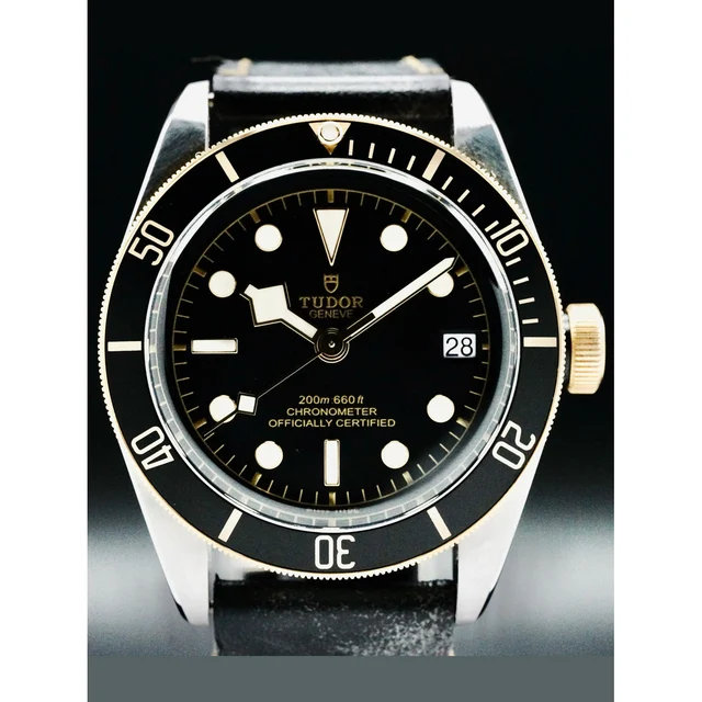 Tudor Black Bay Steel and Gold 210000051346 kol saati