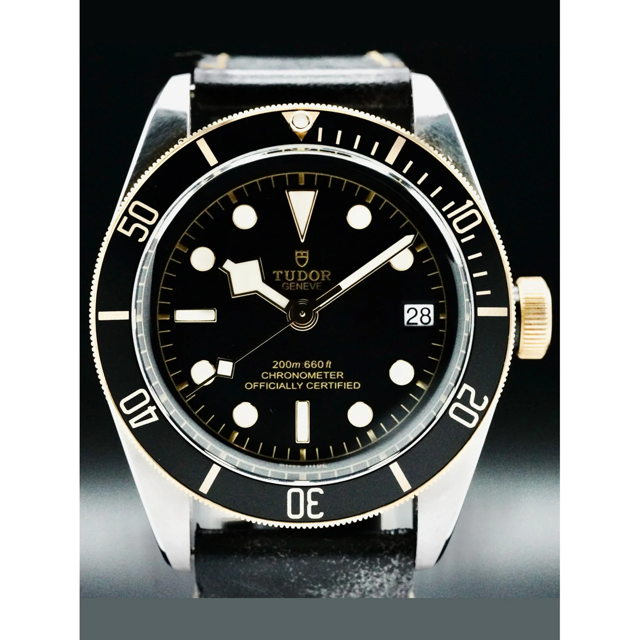 Tudor Black Bay Steel and Gold 210000051346 41 mm kol saati