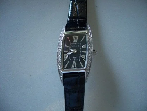 Pierre Cardin 068702005 kol saati
