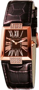 Pierre Cardin 102342F05 27 mm kol saati