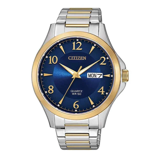 Citizen Citizen BF2005-54L kol saati