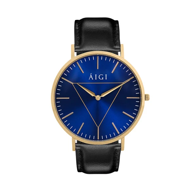 AIGI Watches AIGI Watches BS40SS kol saati