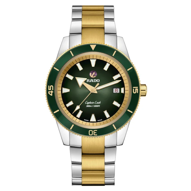 Rado Captain Cook Automatic R32138303 kol saati