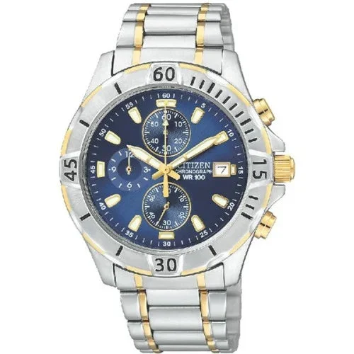 Citizen Citizen AN3394-59L 41 mm kol saati