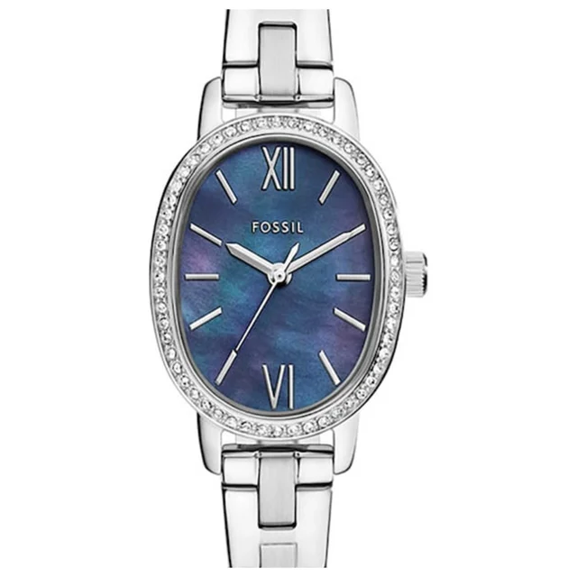 Fossil Watch BQ5003 kol saati