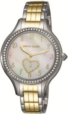 Pierre Cardin 105842F02 kol saati