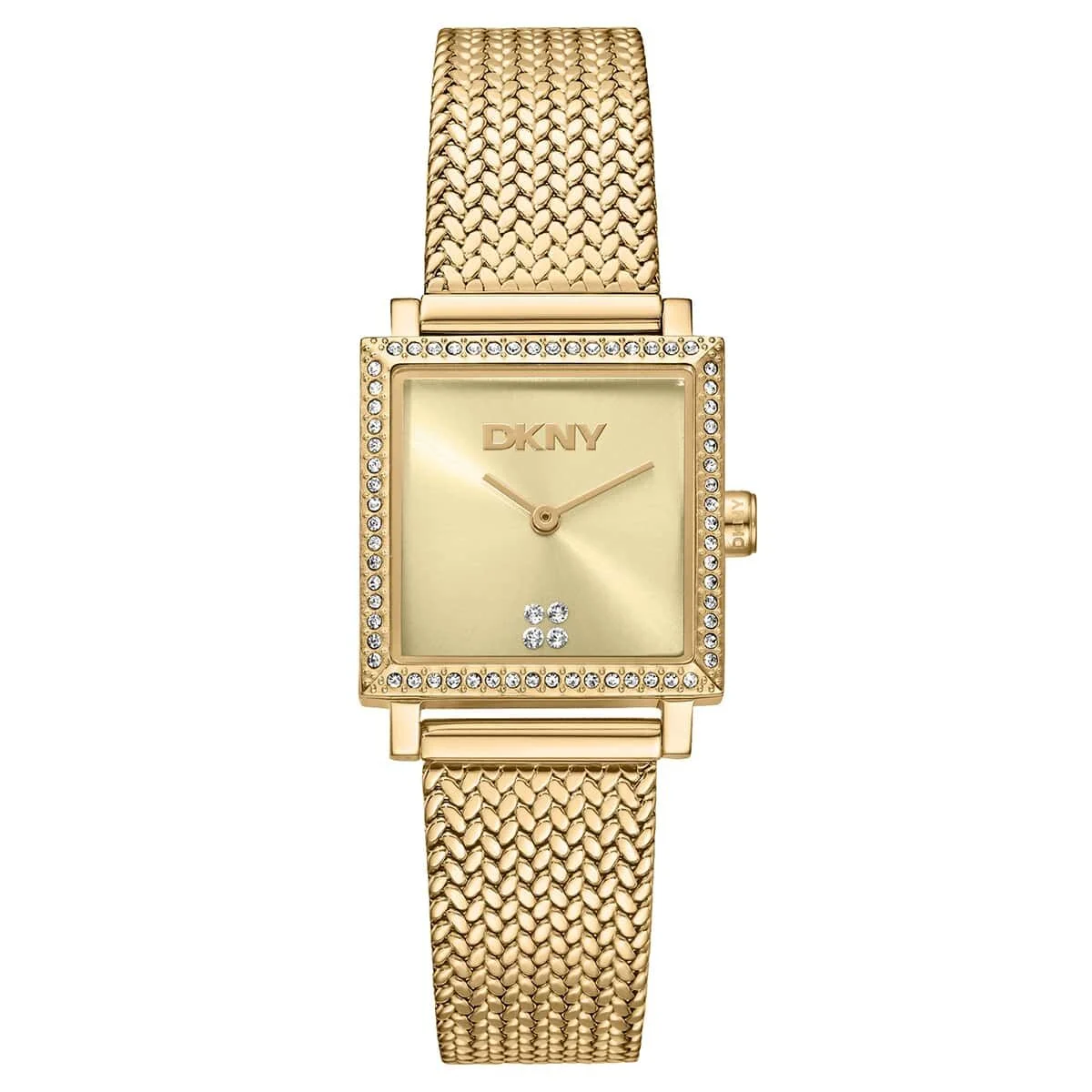 DKNY DK1L173M0095 24 mm kol saati