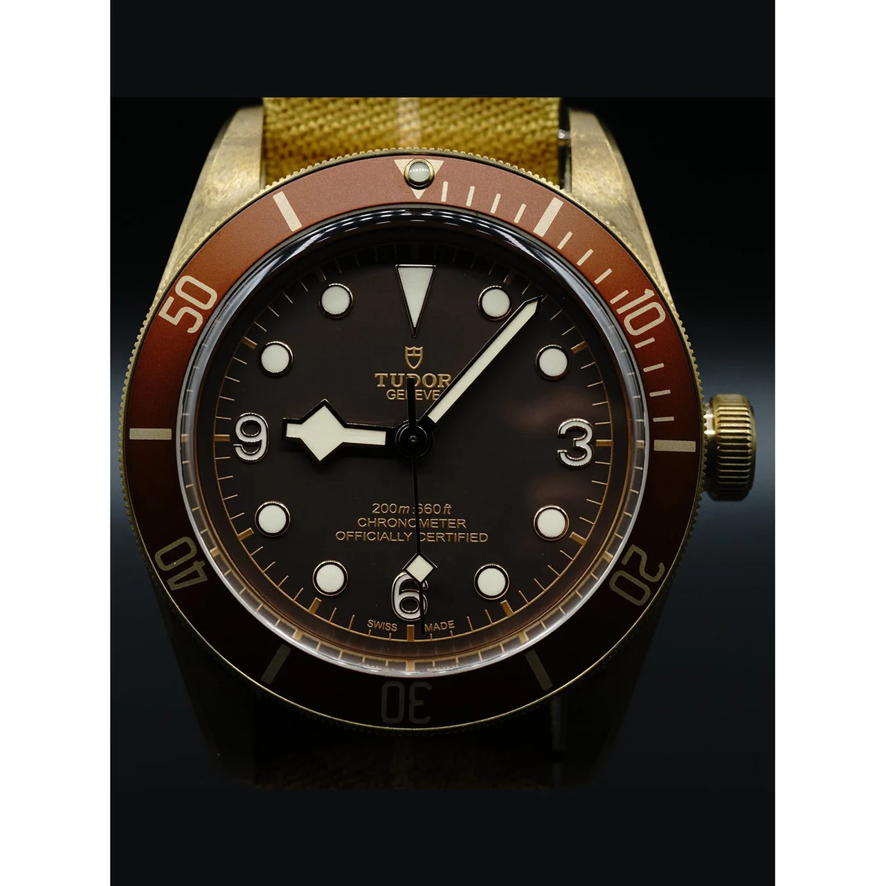 Tudor Heritage Black Bay 79250BM 210000018290 kol saati