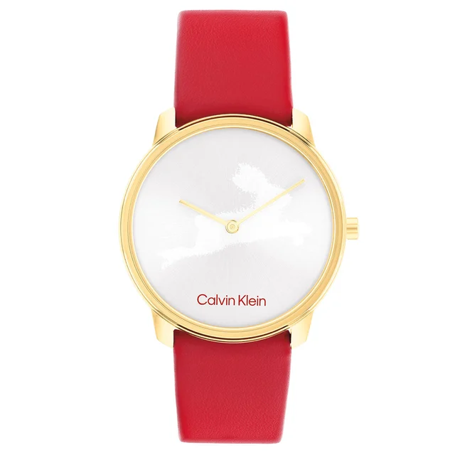 Calvin Klein CNY CK25200219 kol saati