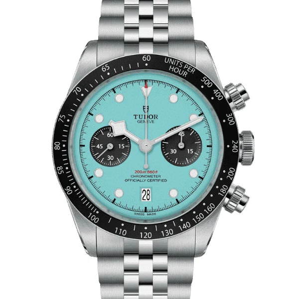 Tudor Black Bay 2510-02 kol saati