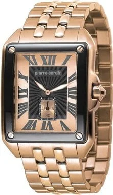 Pierre Cardin 100581F01 kol saati
