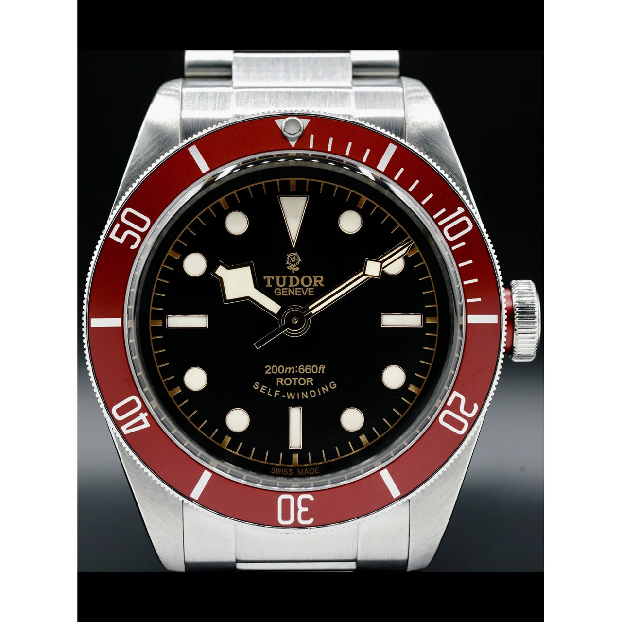 Tudor Heritage Black Bay 79220R 210000028179 41 mm kol saati