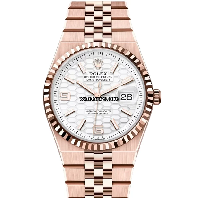 Rolex Land-Dweller C162 kol saati