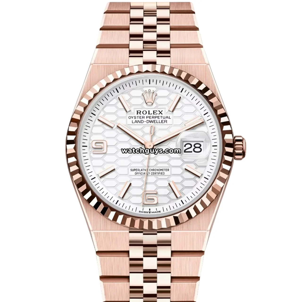 Rolex Land-Dweller C162 36 mm kol saati