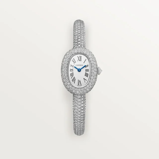 Cartier Baignoire hpi01853 kol saati