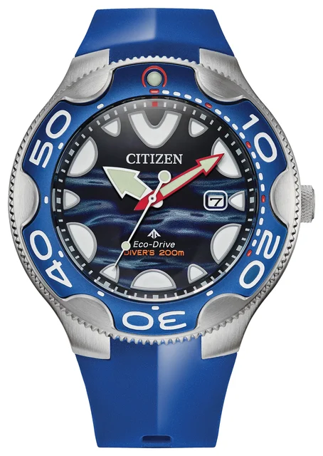 Citizen Promaster Dive BN0238-02L kol saati