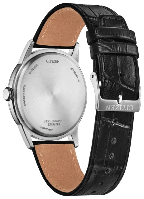 Citizen Rolan AW2110-06E kol saati
