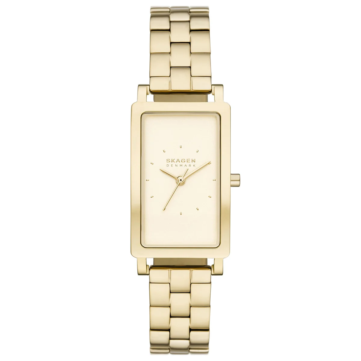 Skagen SKW3098 22 mm kol saati