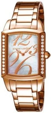 Pierre Cardin 104182F06 kol saati