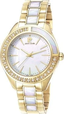 Pierre Cardin 106832S11 kol saati