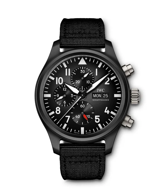 IWC Pilot'S Watch IW389101 kol saati