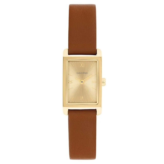 Calvin Klein CK Light CK25100209 kol saati