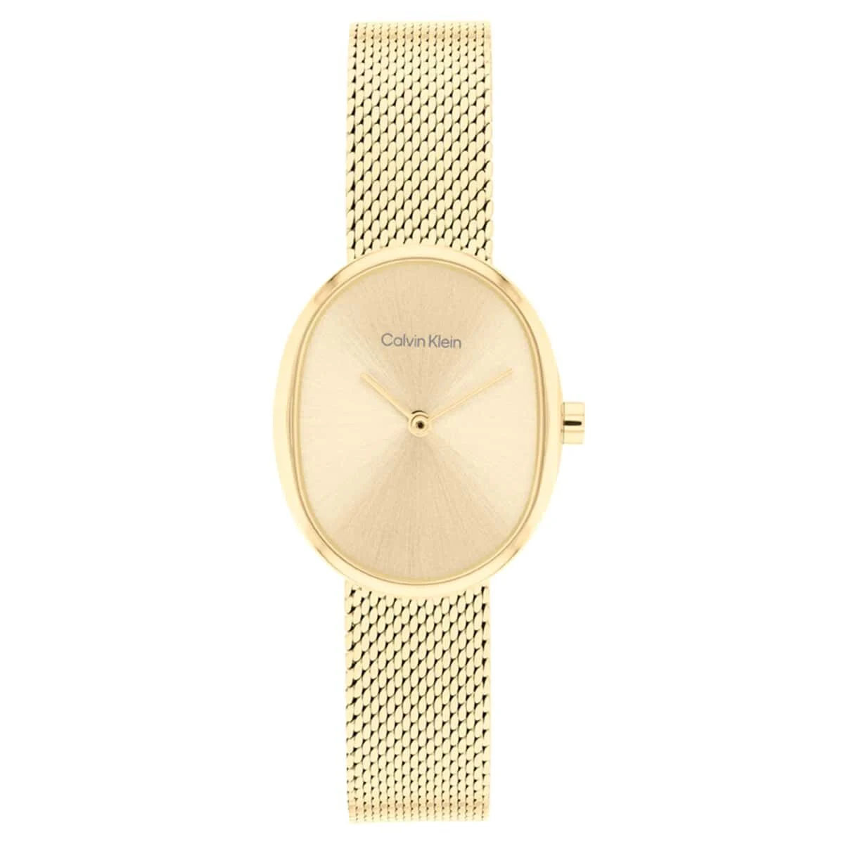 Calvin Klein Euphoria CK25100174 23 mm kol saati