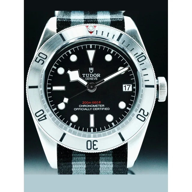 Tudor Black Bay Steel 210000082202 kol saati
