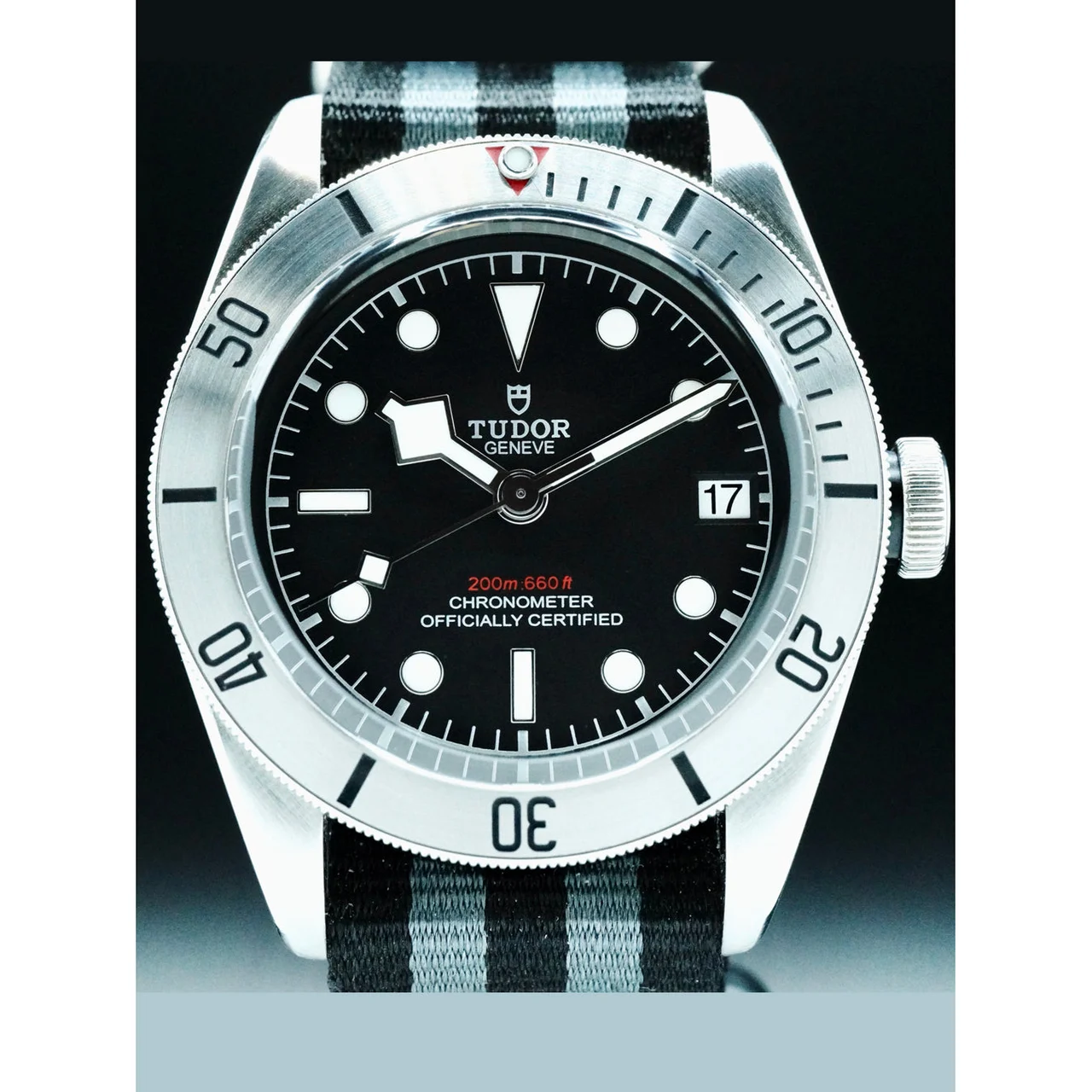 Tudor Black Bay Steel 210000082202 41 mm kol saati