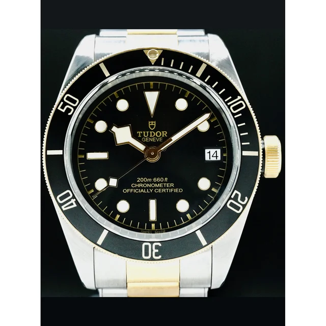 Tudor Black Bay Steel & Gold 210000045421 kol saati