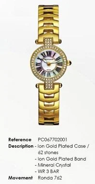Pierre Cardin 067702001 (67702.41501 kol saati