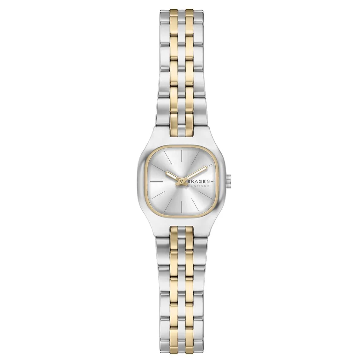 Skagen SKW3176 22 mm kol saati