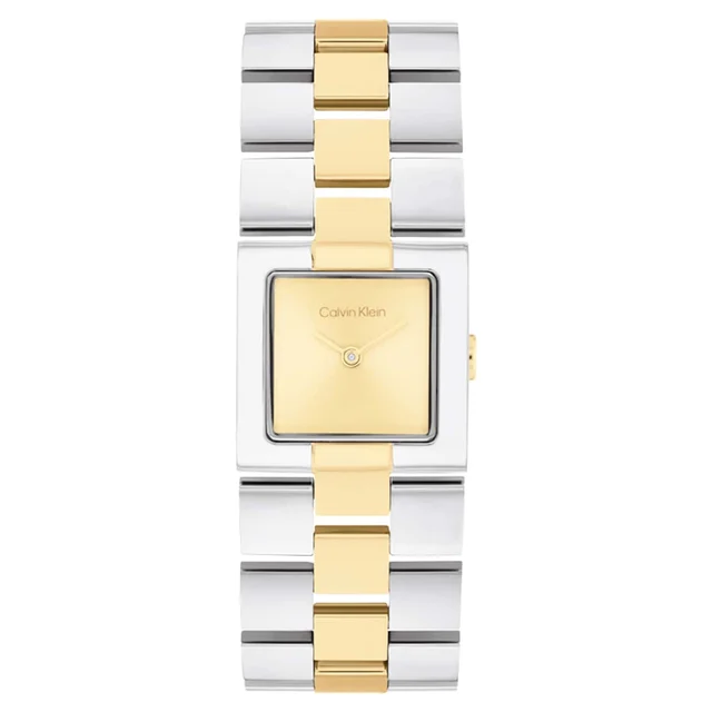 Calvin Klein CK Meridian CK25100115 kol saati