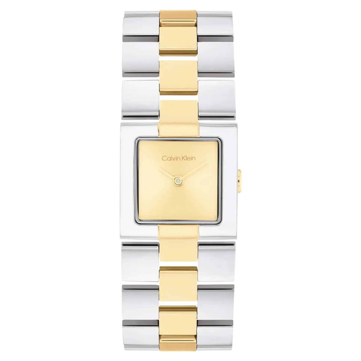 Calvin Klein CK Meridian CK25100115 22 mm kol saati