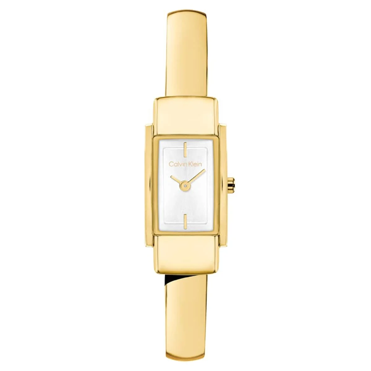 Calvin Klein Moderne CK25100184 15 mm kol saati