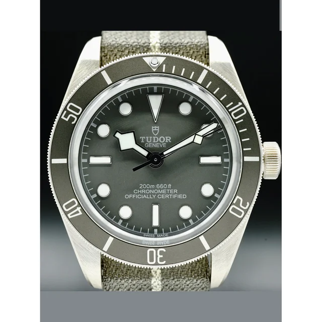 Tudor Black Bay Fifty Eight 925 210000030820 kol saati