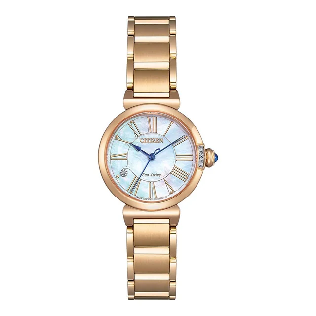 Citizen Citizen Eco-Drive EM1063-89D kol saati