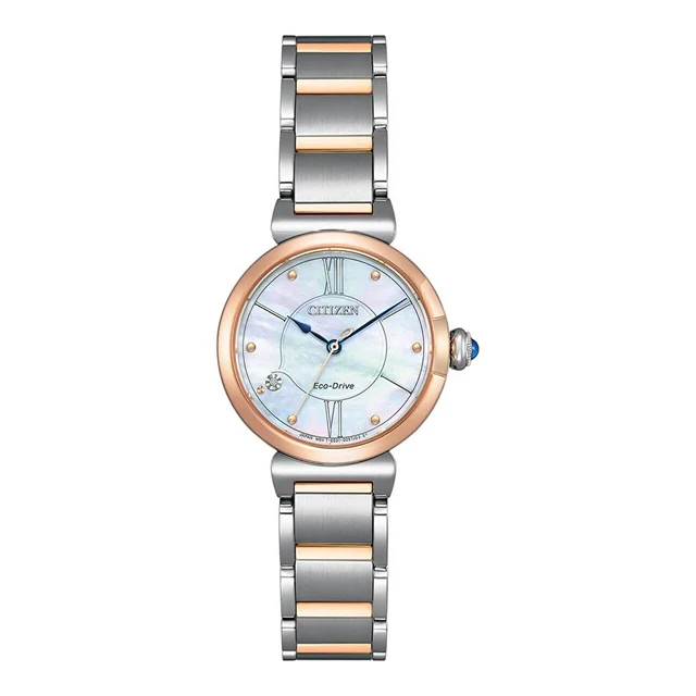 Citizen Citizen Eco-Drive EM1074-82D kol saati