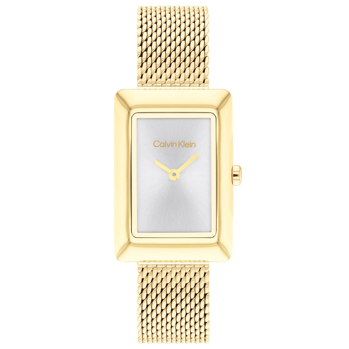Calvin Klein CK Styled CK25200396 22 mm kol saati