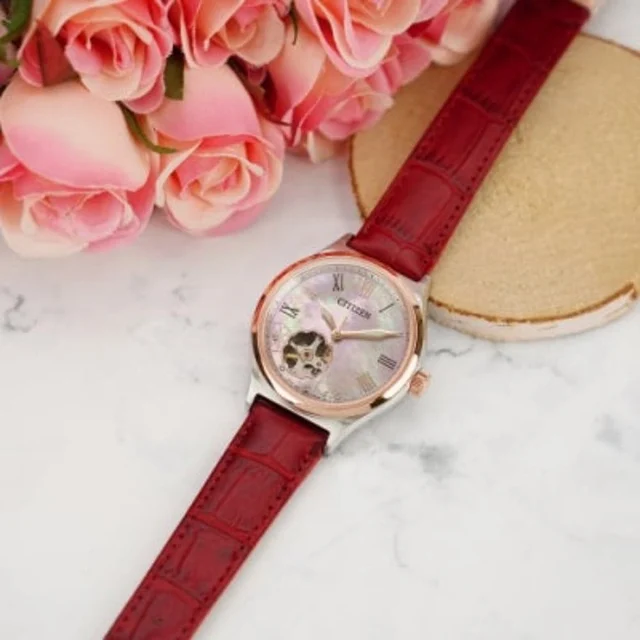 Citizen Citizen PC1008-11Y kol saati