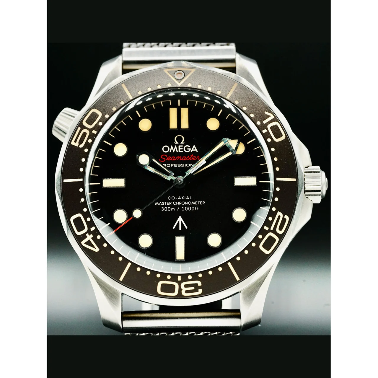 OMEGA Seamaster Diver 300 007 Edition 210.90.42.20.01.001 210000049684 42 mm kol saati