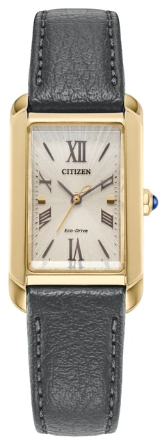 Citizen Citizen 17691433 kol saati