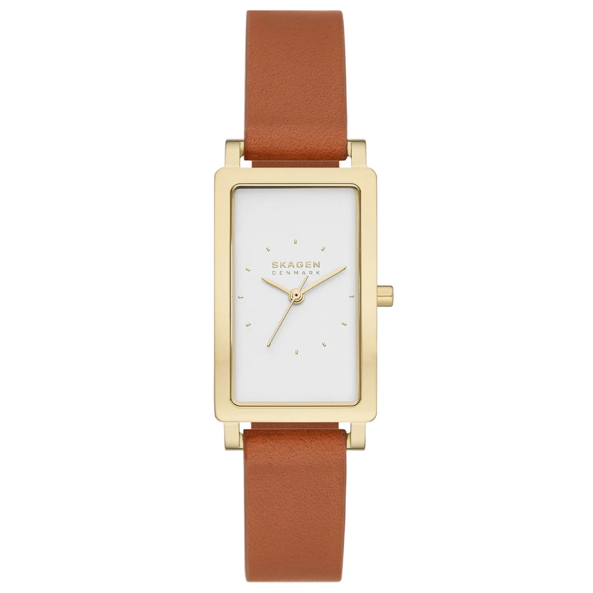 Skagen SKW3097 22 mm kol saati