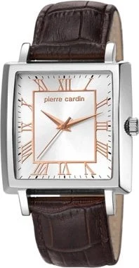 Pierre Cardin 106141F02 kol saati